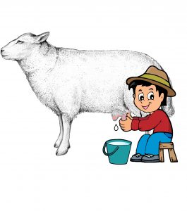 El pastorcito y la obeja