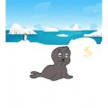 La foca katrina