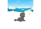 La foca katrina