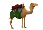 El camello despistado - un cuento ofrecido por BelenCribs