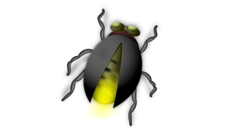 la serpiente y la luciérnaga