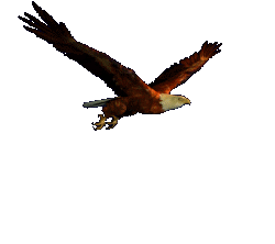 El águila