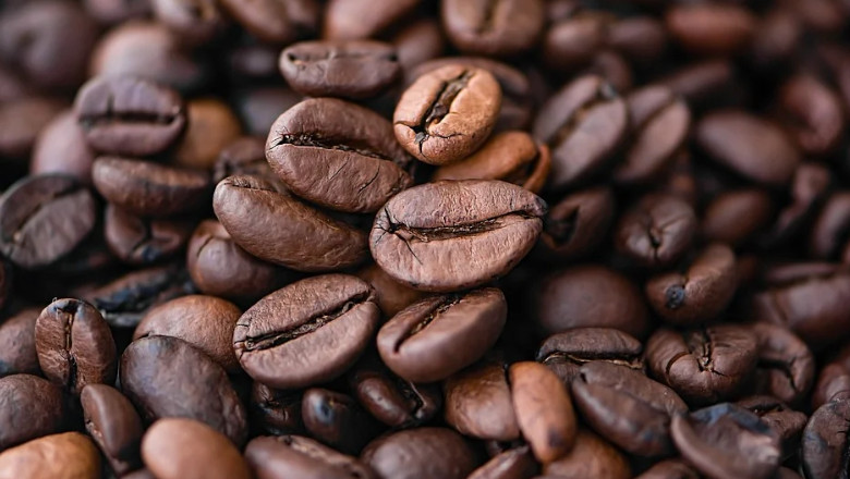 El grano de café