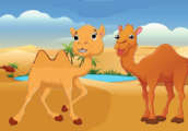 El camello y el dromedario