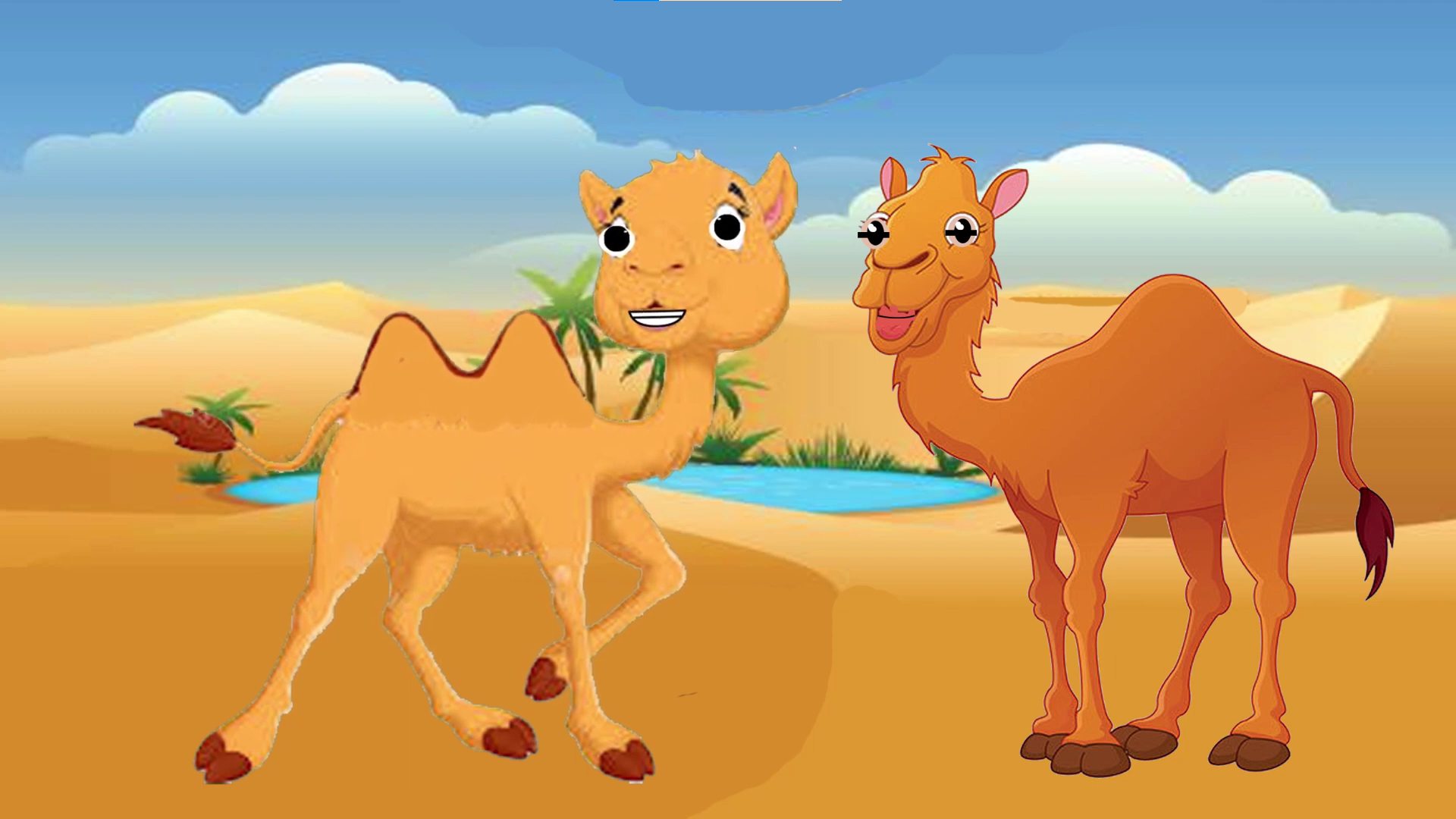 El camello y el dromedario