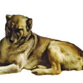 El perro del cuadro de “Las Meninas” de Velázquez