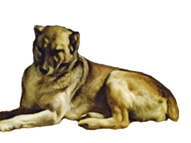 El perro del cuadro de “Las Meninas” de Velásquez