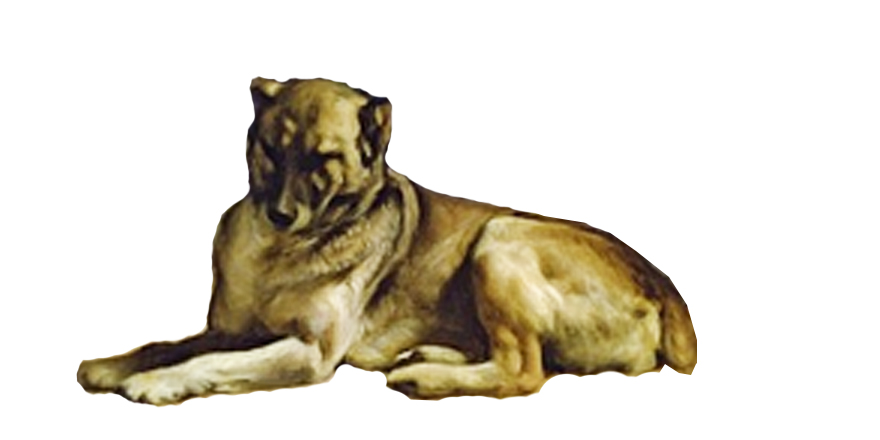 El perro del cuadro de “Las Meninas” de Velázquez